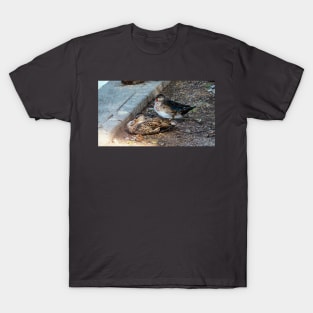 Wood Duck Resting With Another Duck T-Shirt